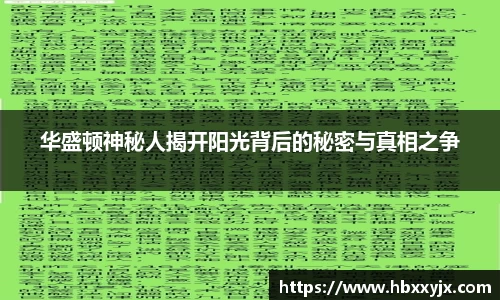 华盛顿神秘人揭开阳光背后的秘密与真相之争